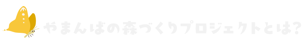 1.やまんばの森プロジェクトとは