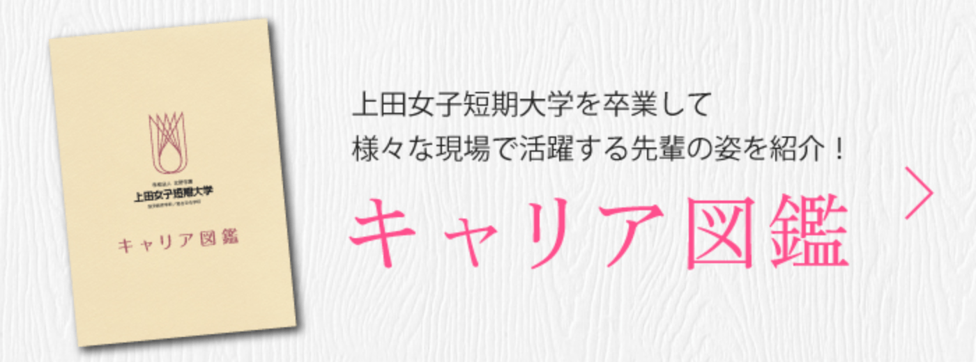 キャリア図鑑