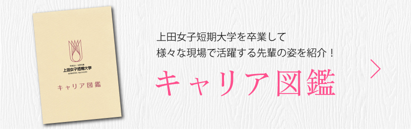 キャリア図鑑