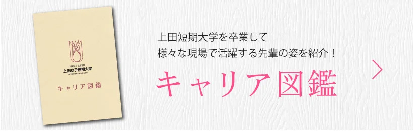 キャリア図鑑